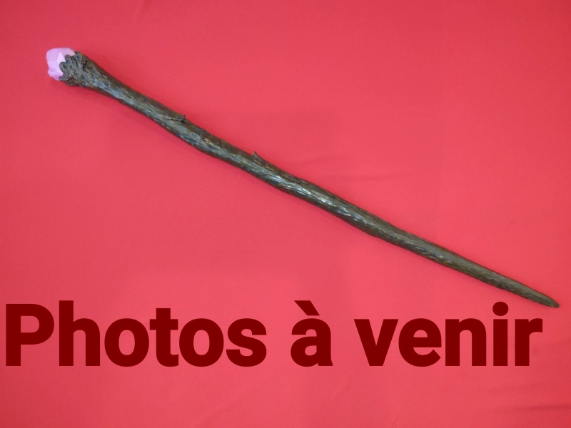 katana Nouveautés