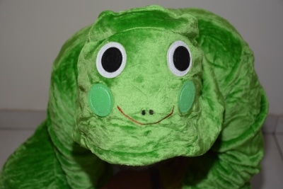 kigurumi grenouille