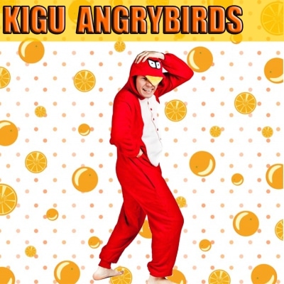 kigurumi angry birds