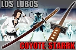 cosplay Bleach