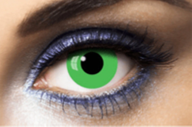 lentilles vert